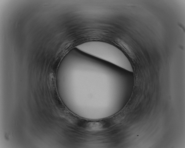 X0000091980169200709061159
