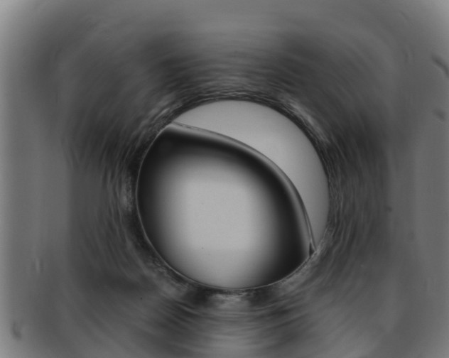 X0000091980170200709061159