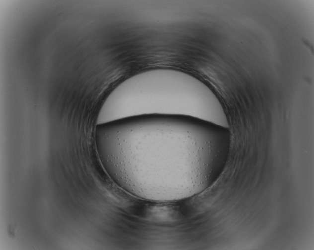 X0000091980171200709061159