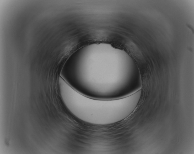 X0000091980172200709061159