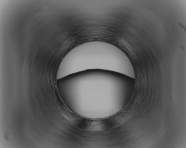 X0000091980173200709061159