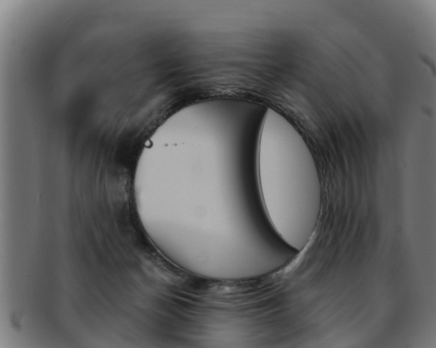 X0000091980174200709061159