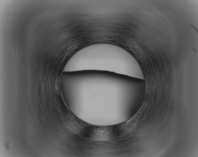 X0000091980175200709061159