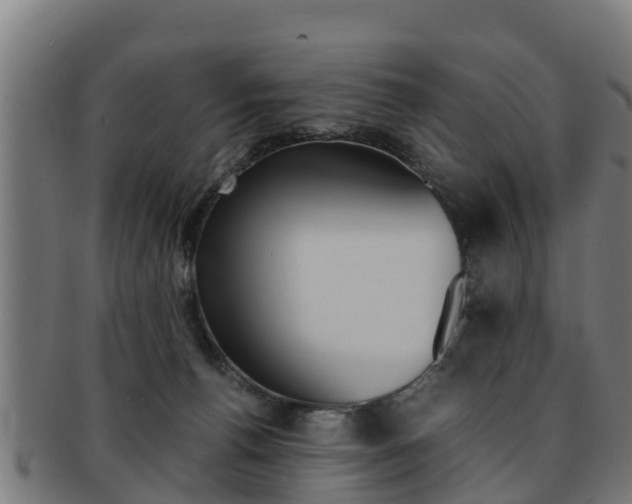 X0000091980176200709061159