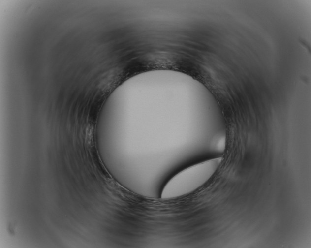 X0000091980177200709061159
