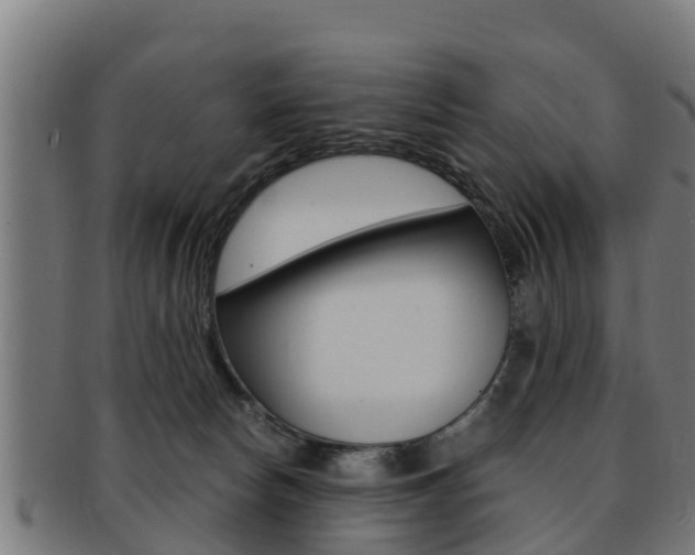 X0000091980178200709061159
