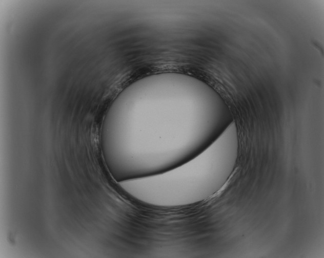 X0000091980179200709061159