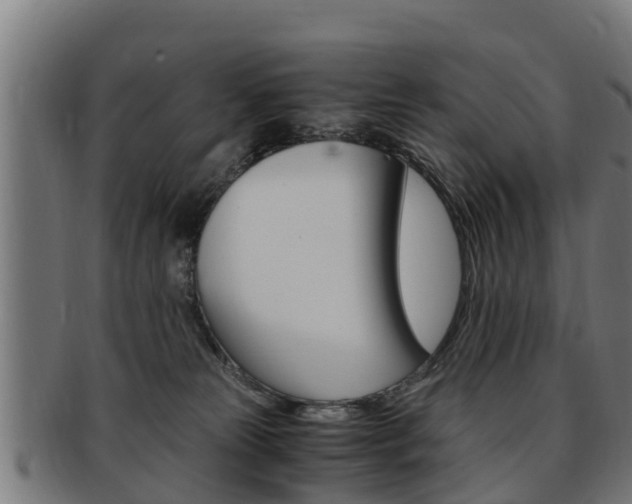 X0000091980181200709061159