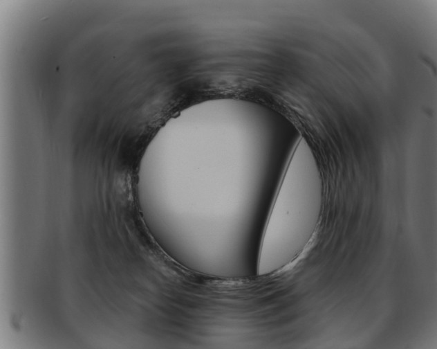 X0000091980182200709061159