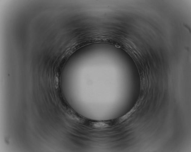 X0000091980183200709061159