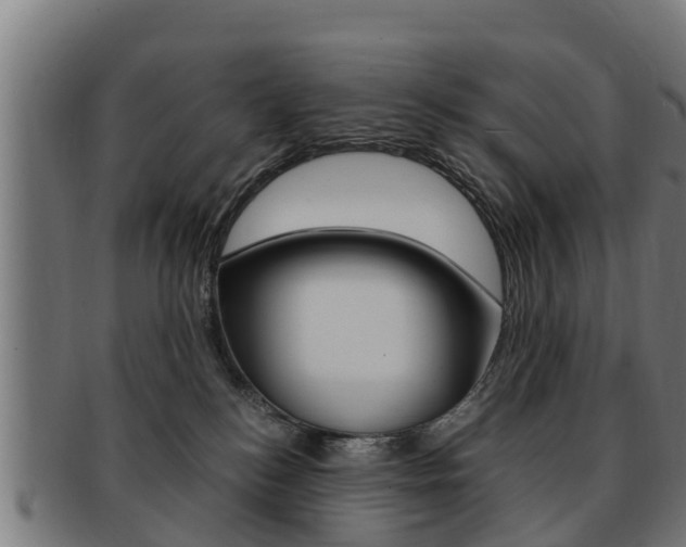 X0000091980184200709061159