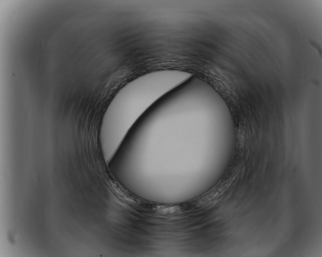 X0000091980185200709061159
