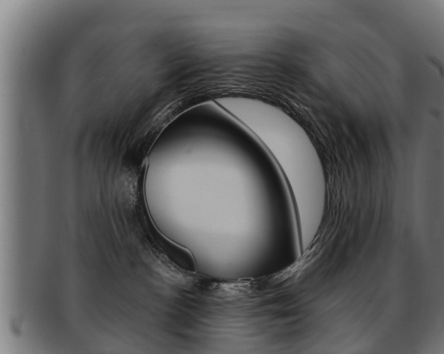 X0000091980188200709061159