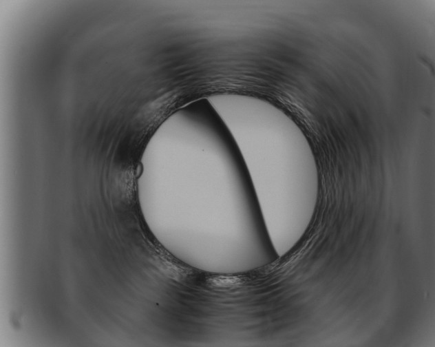 X0000091980189200709061159