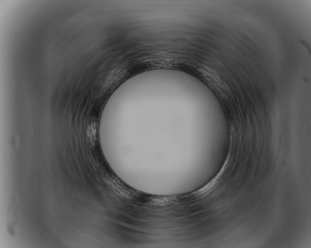 X0000091980190200709061159