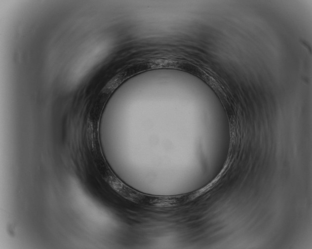 X0000091980191200709061200