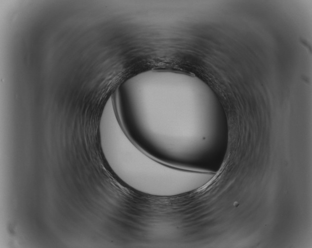 X0000091980192200709061200
