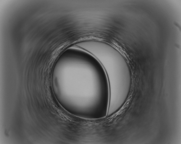 X0000091980193200709061159