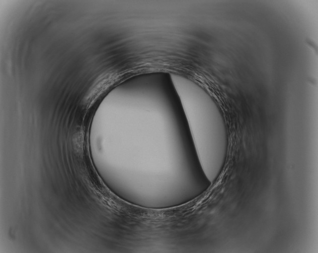 X0000091980194200709061159