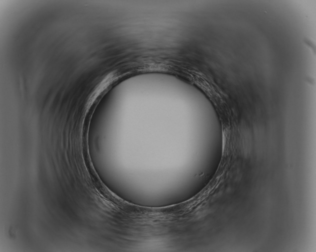 X0000091980195200709061159