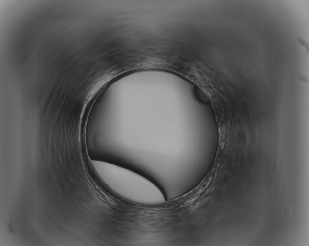 X0000091980196200709061159