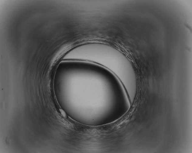 X0000091980197200709061159