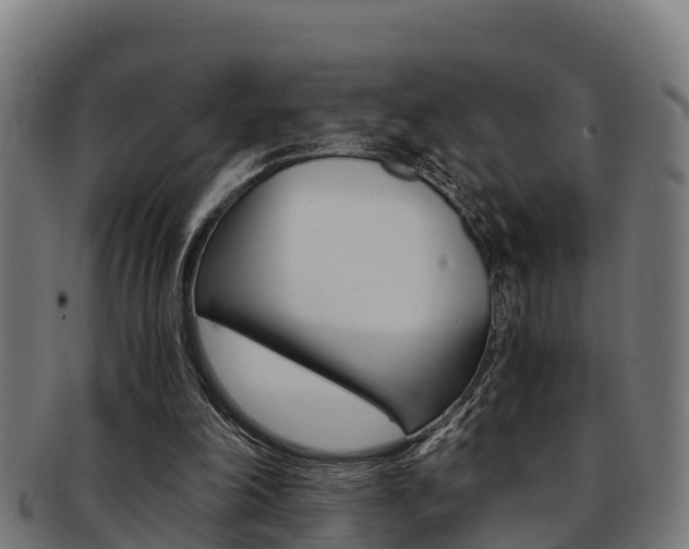 X0000091980198200709061159