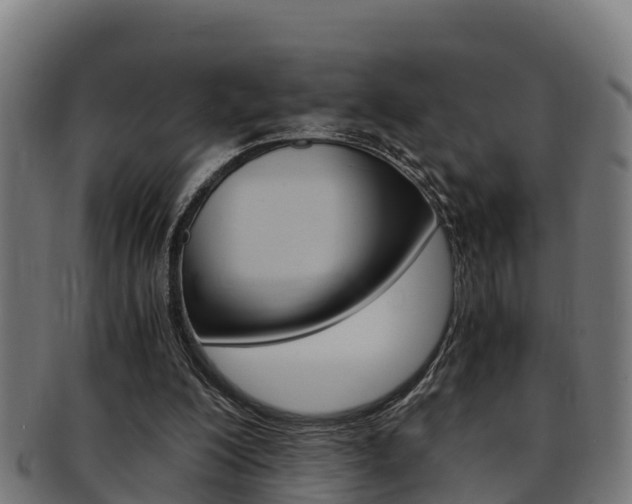 X0000091980200200709061159