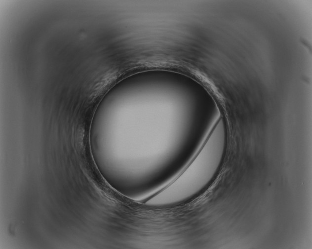 X0000091980201200709061159