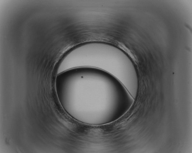 X0000091980203200709061159