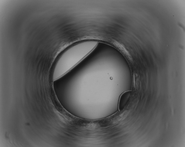 X0000091980204200709061159
