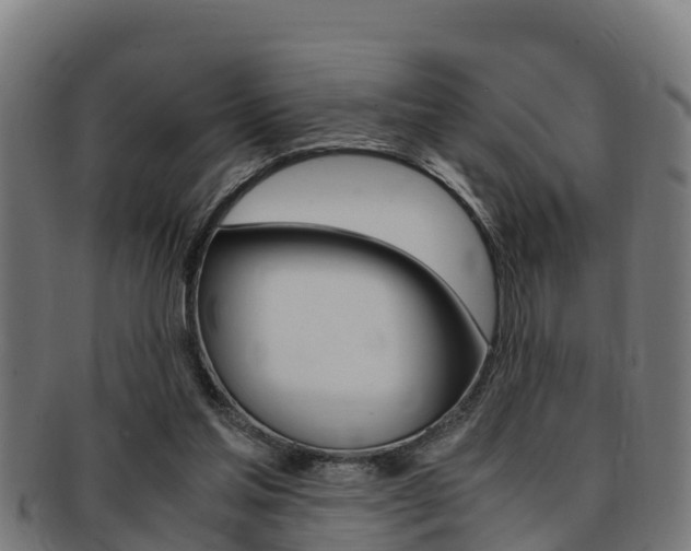 X0000091980205200709061159