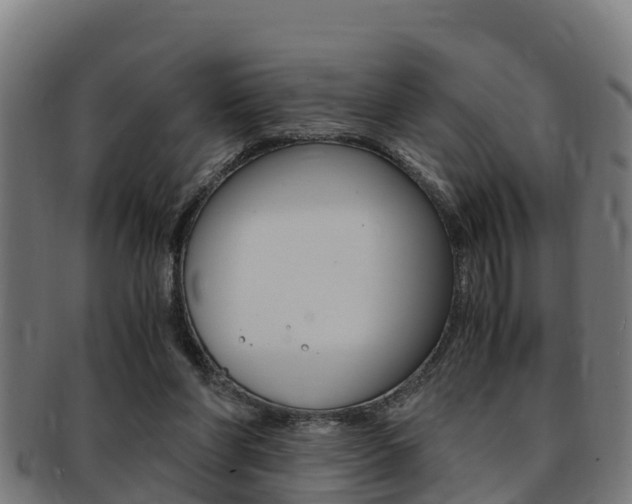 X0000091980206200709061159