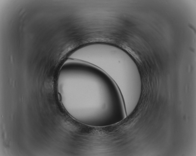 X0000091980207200709061159
