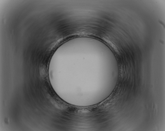 X0000091980208200709061159