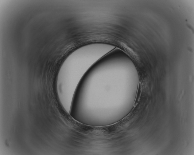 X0000091980209200709061159