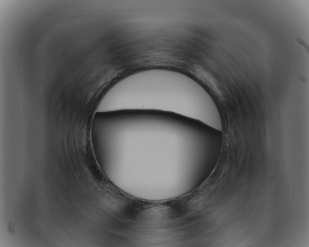 X0000091980210200709061159
