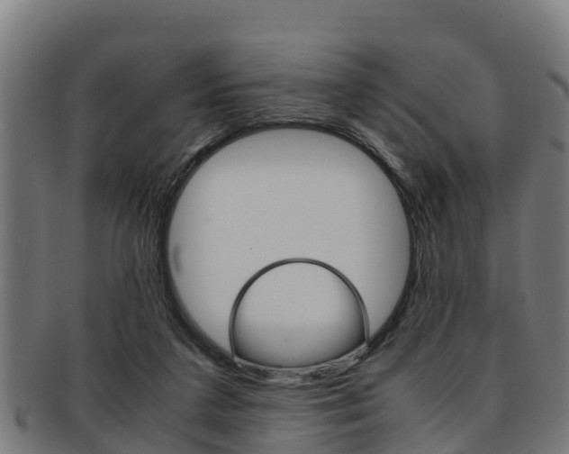 X0000091980211200709061159