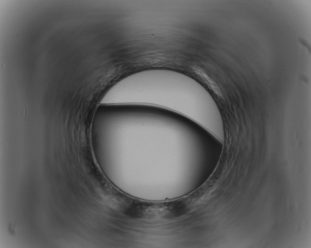 X0000091980213200709061159