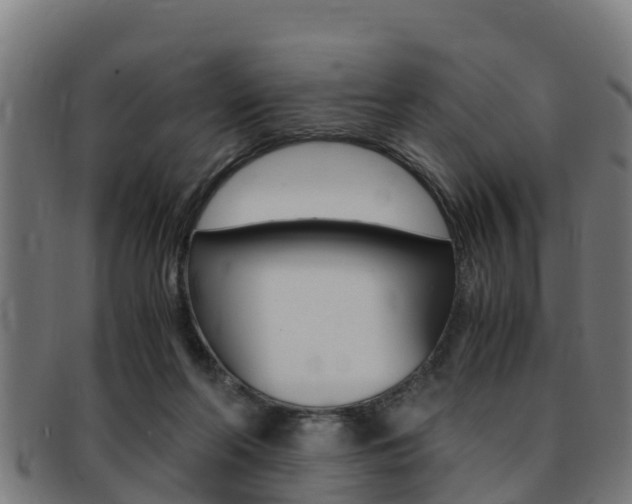 X0000091980214200709061159