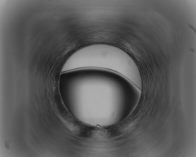 X0000091980215200709061159