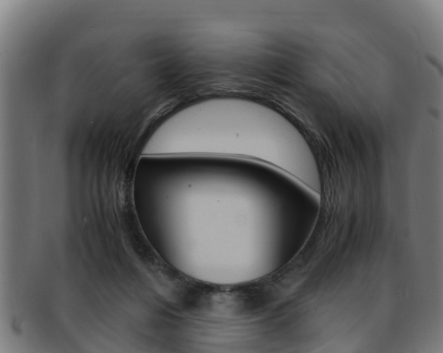 X0000091980216200709061159