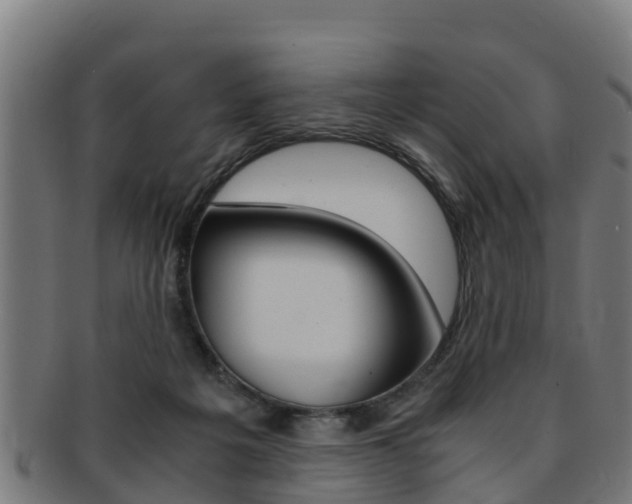 X0000091980217200709061159