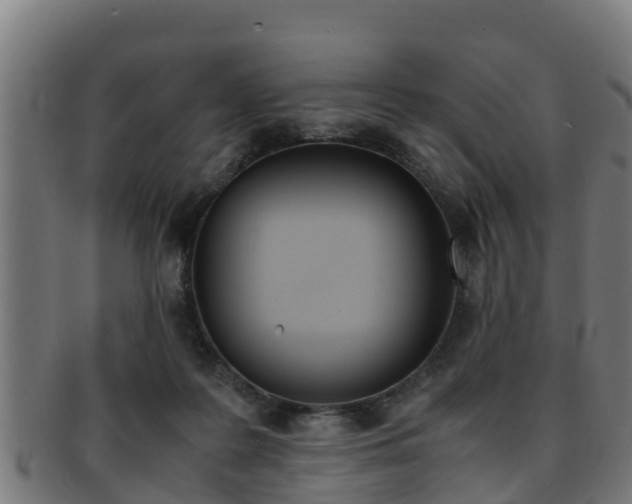X0000091980219200709061159