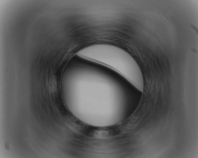 X0000091980220200709061159