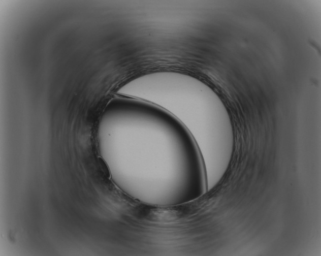 X0000091980221200709061159