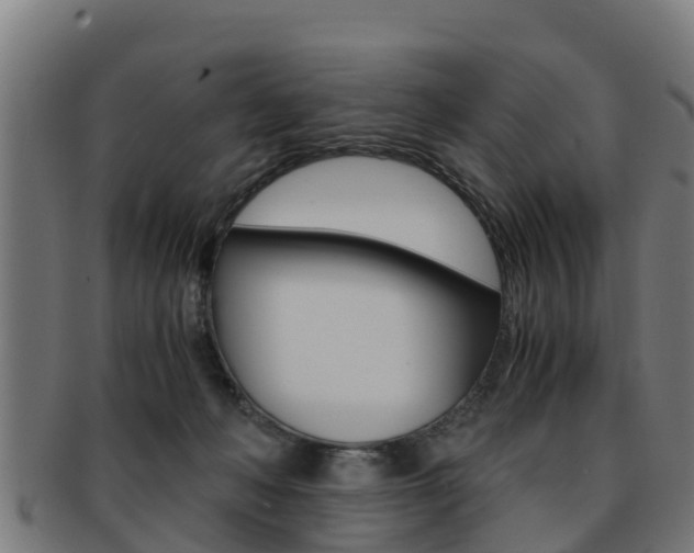 X0000091980222200709061159