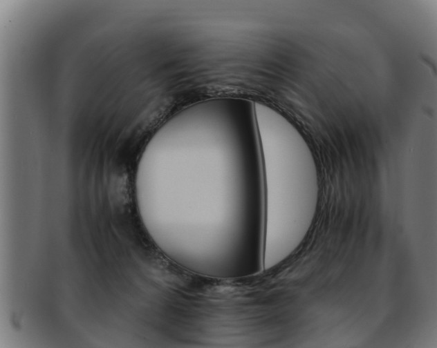 X0000091980224200709061159