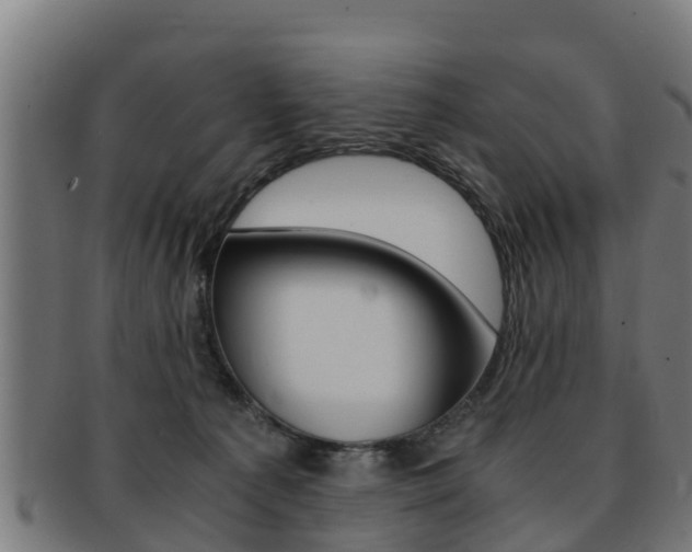 X0000091980225200709061159