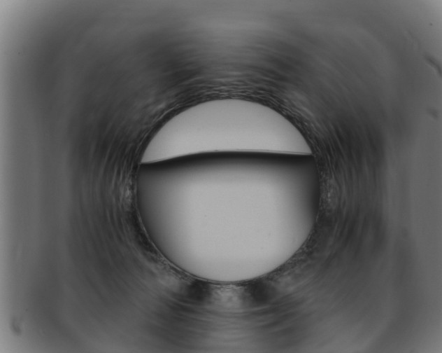 X0000091980226200709061159